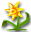 Geschlecht